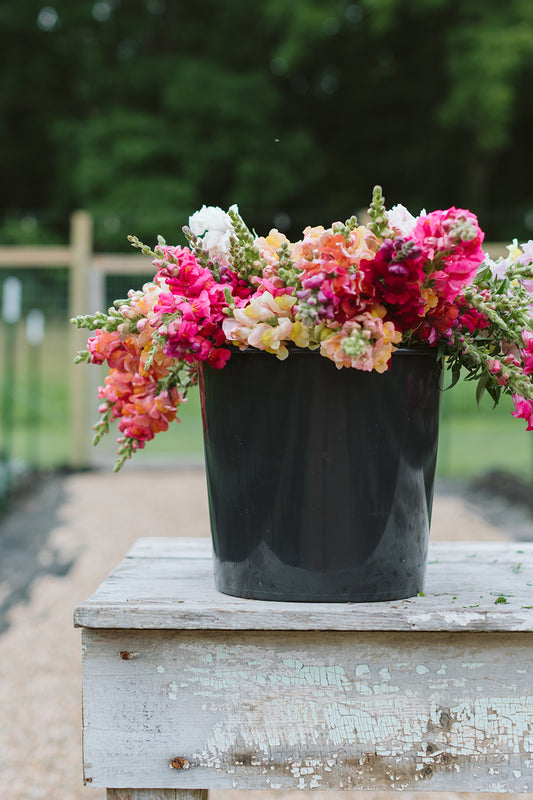 DIY Design Buckets