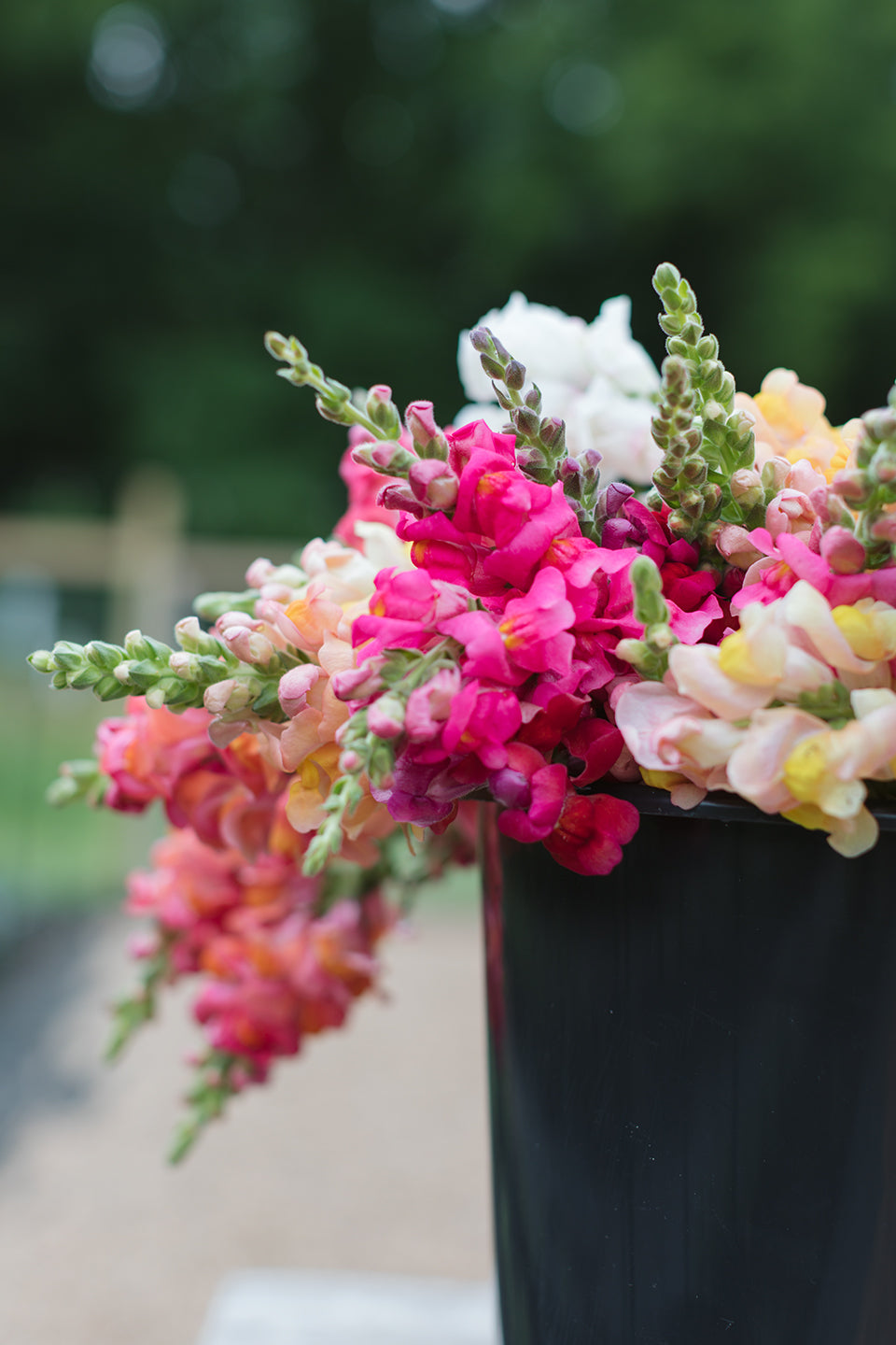 DIY Design Buckets