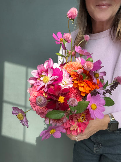 Starter Pack of Cut and Come Again Plant Starts