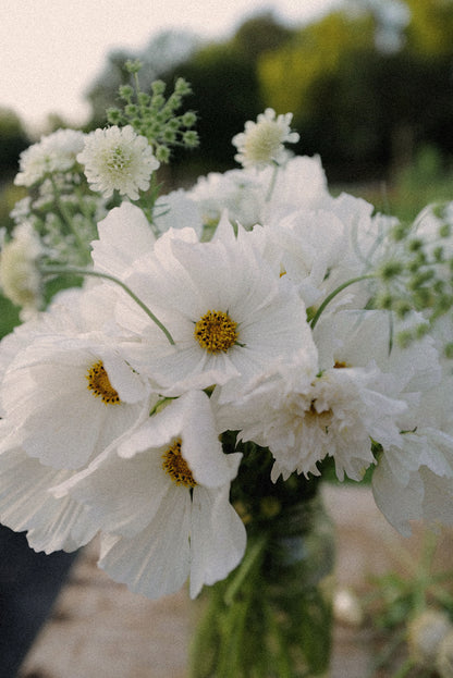 White Cottage Garden Mix